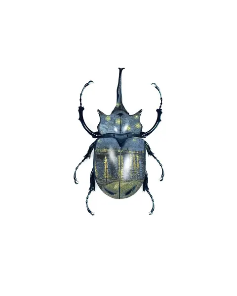 caotida