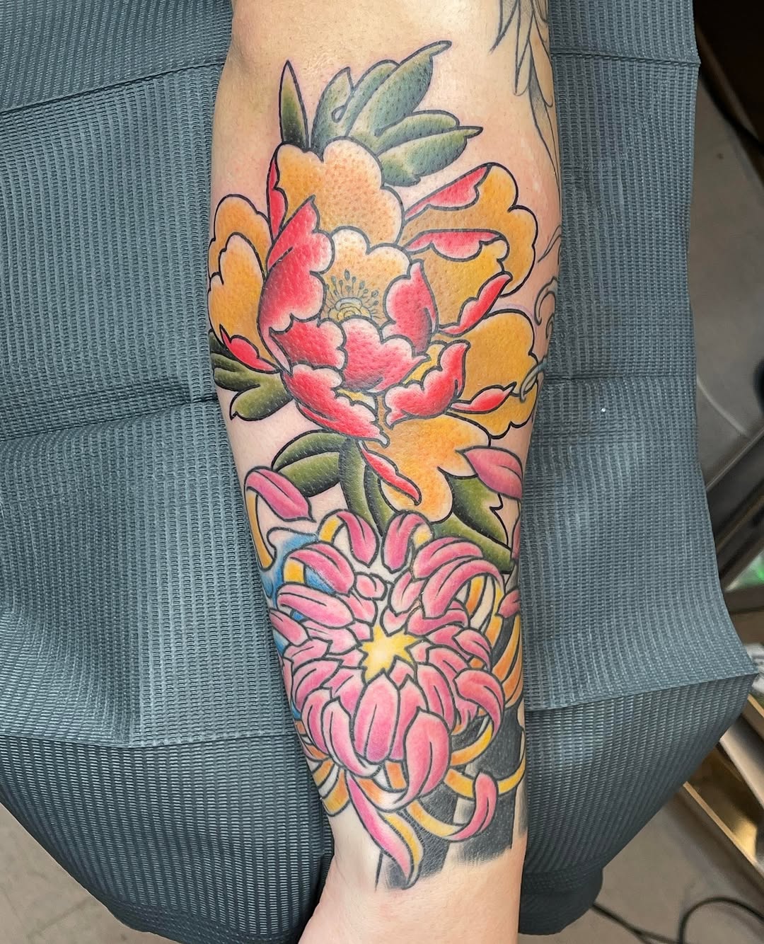 Flower, Rose, 목련, 꽃다발, 꽃 배경