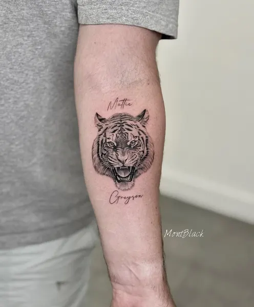 Tiger, 치타, 표범, 재규어, 사자자리