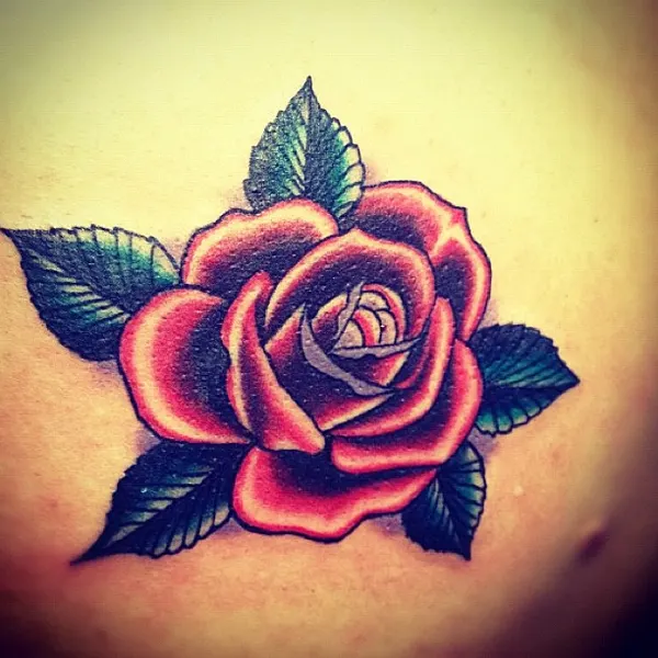 Flower, Rose, Nature