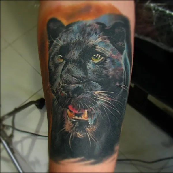 Animal