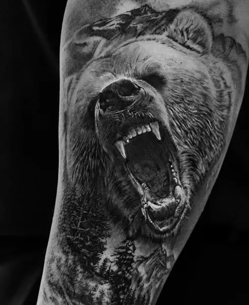 Animal, 곰