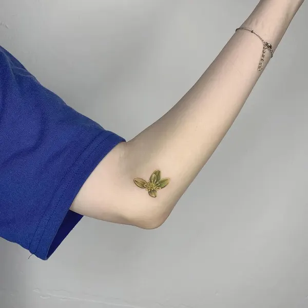 Flower, 잎, 단풍잎, 은행잎, 허브