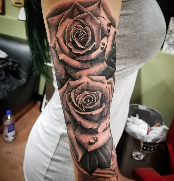 Flower, Rose