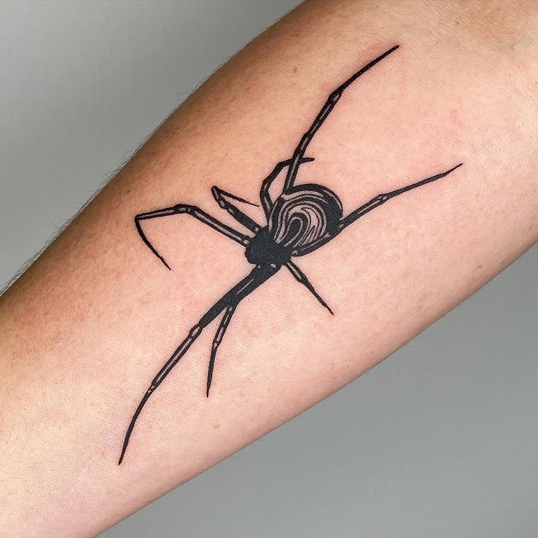 Animal, 거미