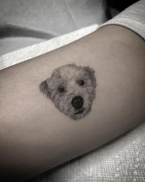 Animal