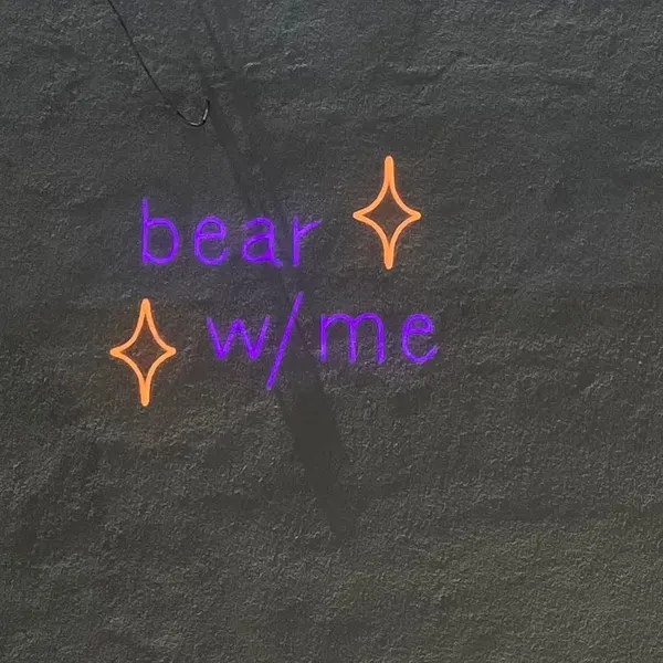 Teddy X
