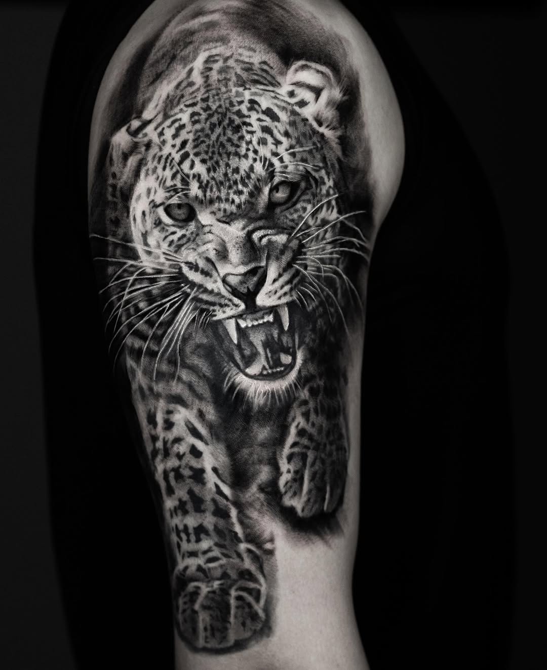 Animal, 표범, 재규어, 치타