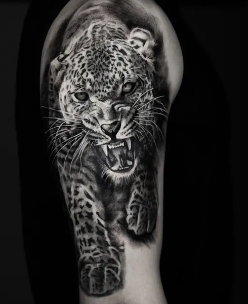 Animal, 표범, 재규어, 치타