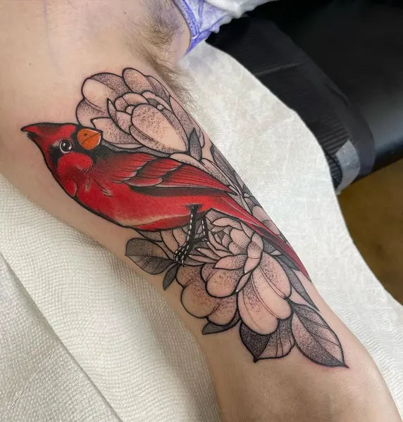 Flower, Animal, Nature