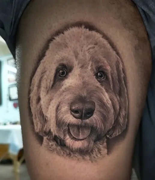 Animal