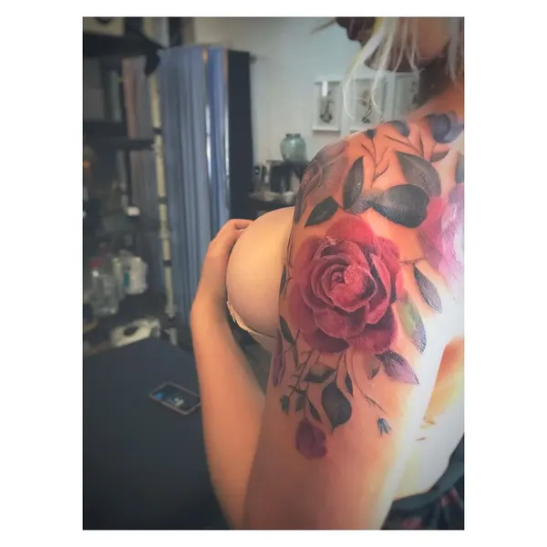 Flower, Rose, Nature