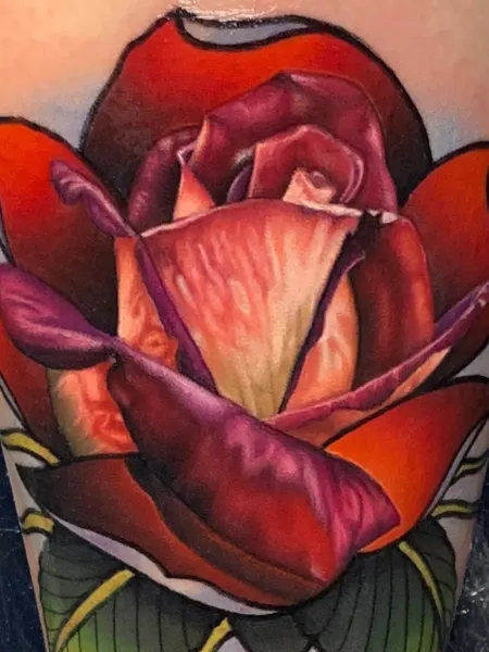 Flower, Rose