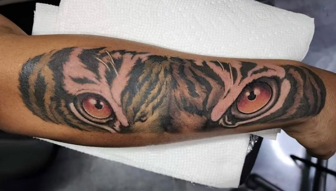 Tiger, 일본 호랑이, 중국 호랑이, 한국 호랑이