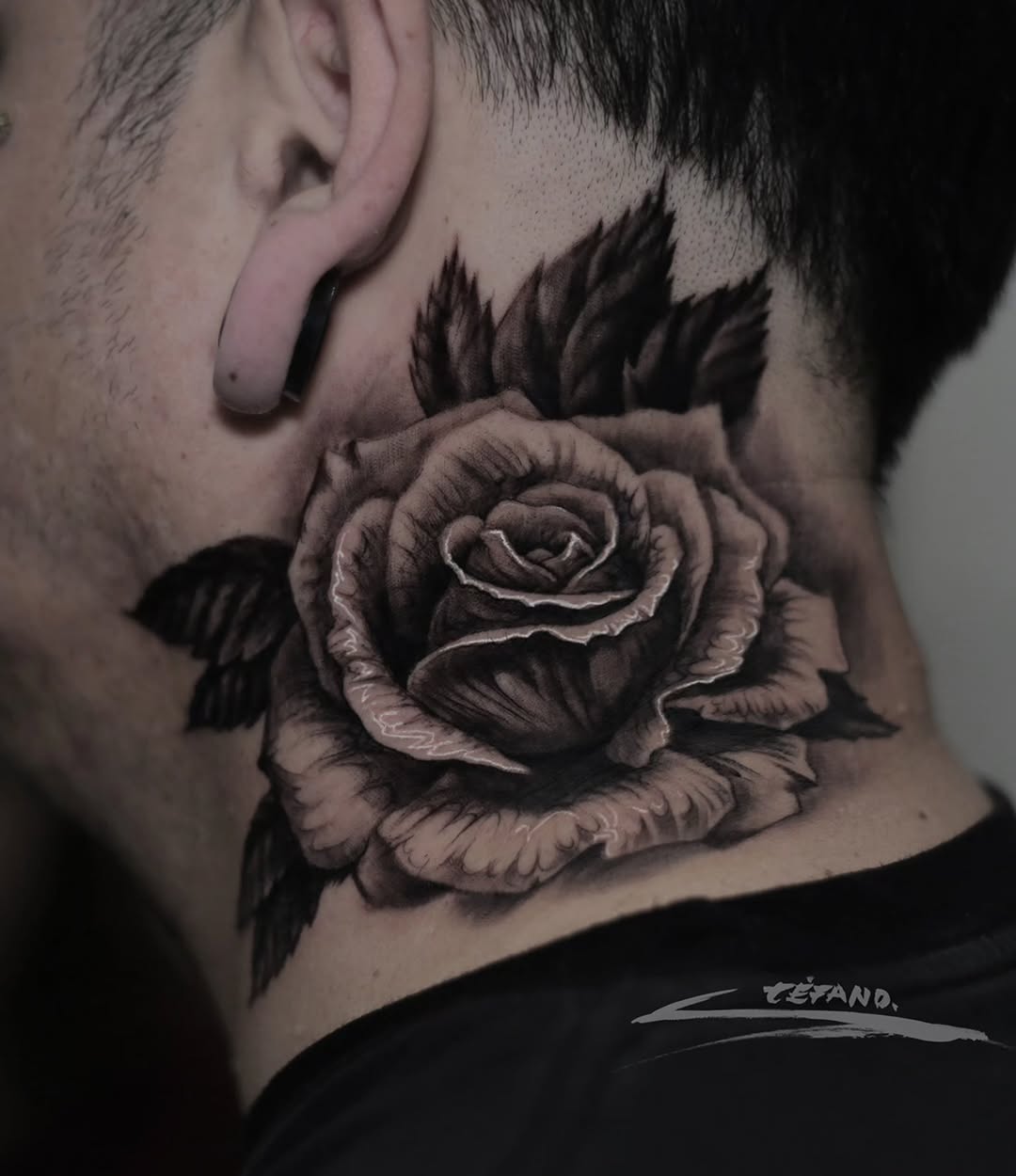 Flower, Rose, Nature