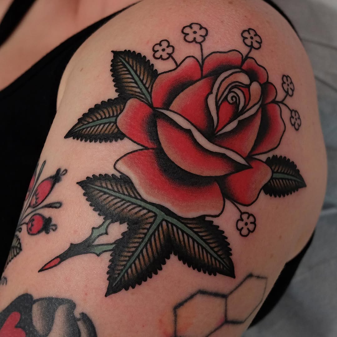 Flower, Rose, Nature