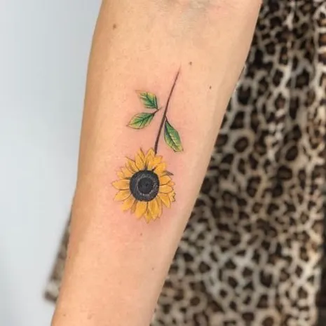 Flower, 해바라기