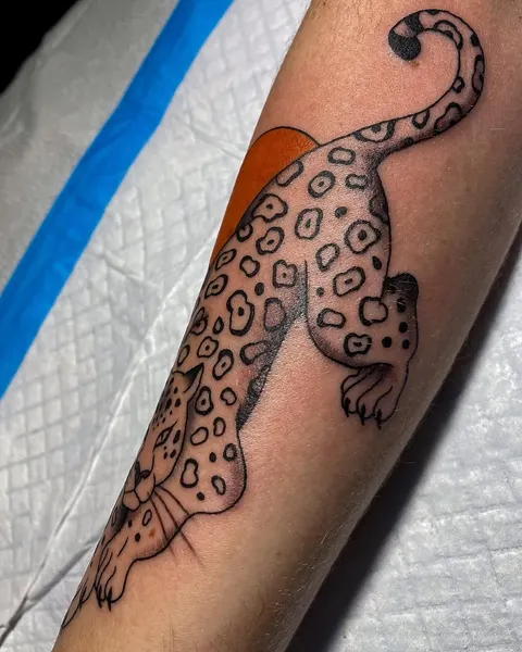 Tiger, Animal, 표범, 치타