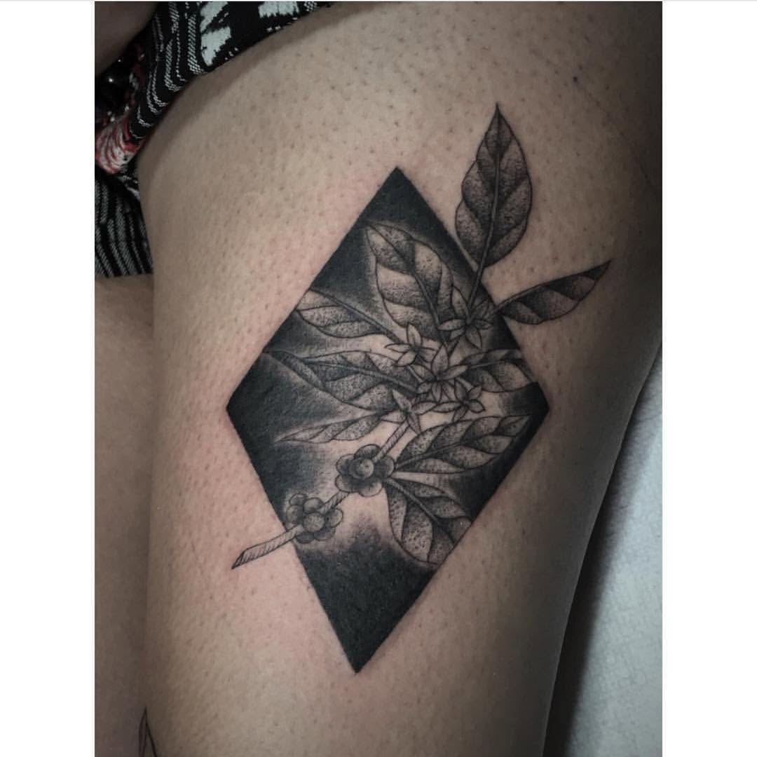Rose, Flower