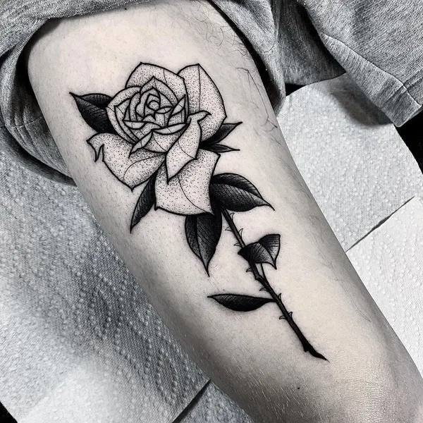 Flower, Rose
