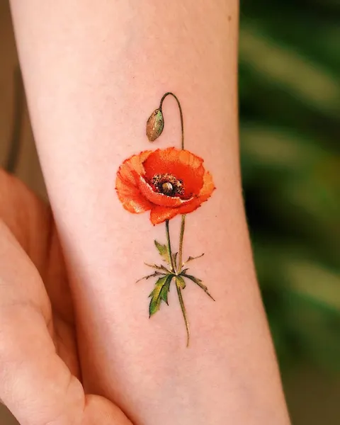 Flower, Rose, 양귀비