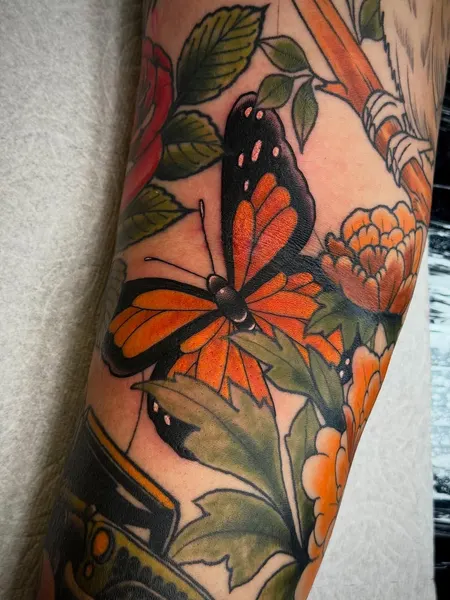 Animal, Nature