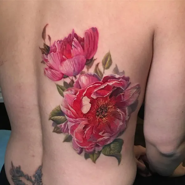 Flower, Rose, Nature