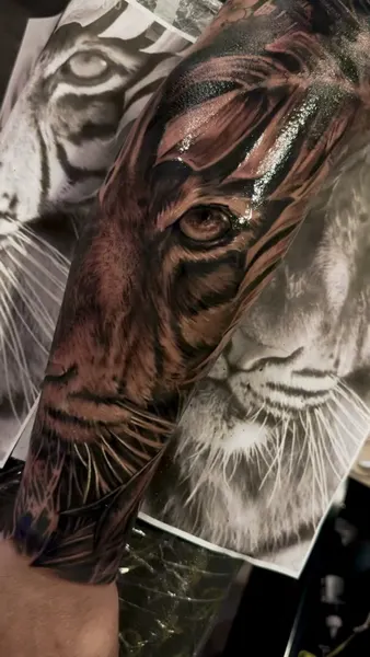 Tiger