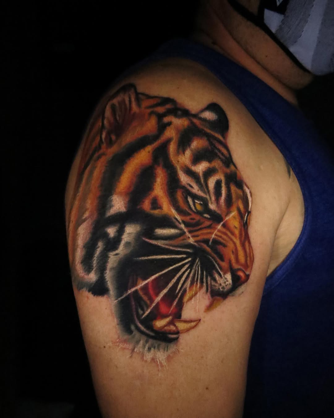 Tiger, 일본 호랑이, 중국 호랑이, 한국 호랑이