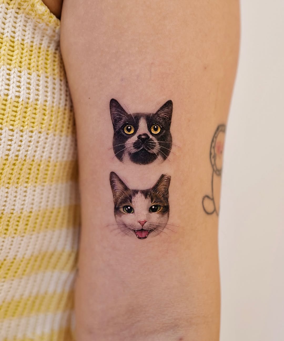 paw.tattoo