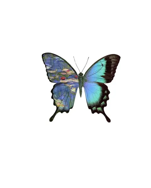 caotida