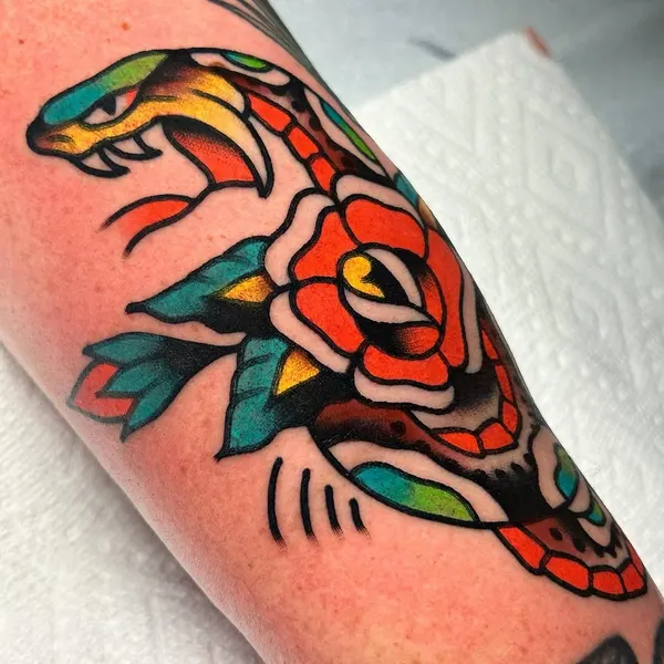 Dragon, Snake