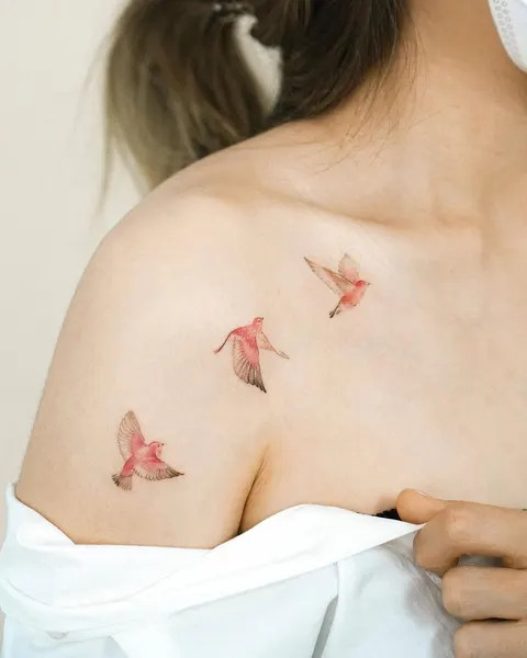 비둘기, 제비