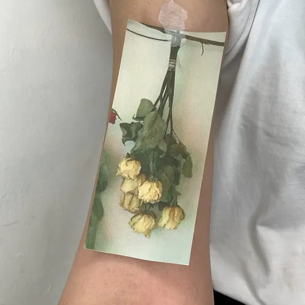 Flower, 레몬, 올리브 가지