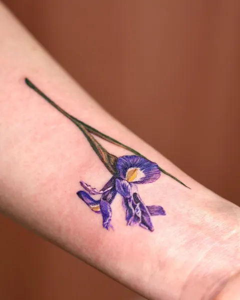 Flower, 난초, 아이리스, 백합, 튤립