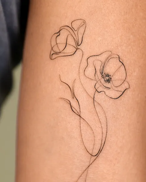 Flower, Rose