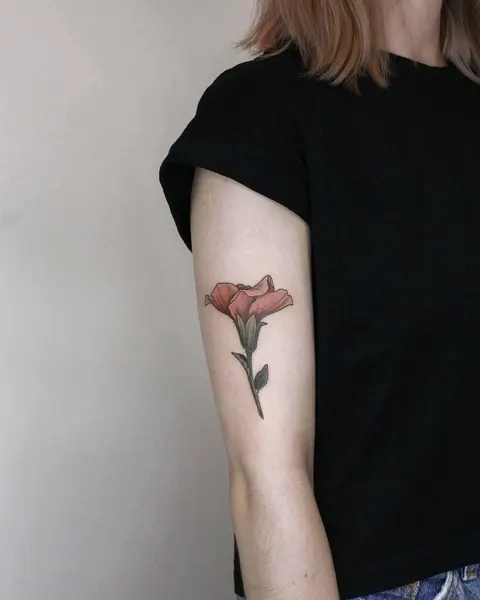 Flower, Rose, Nature