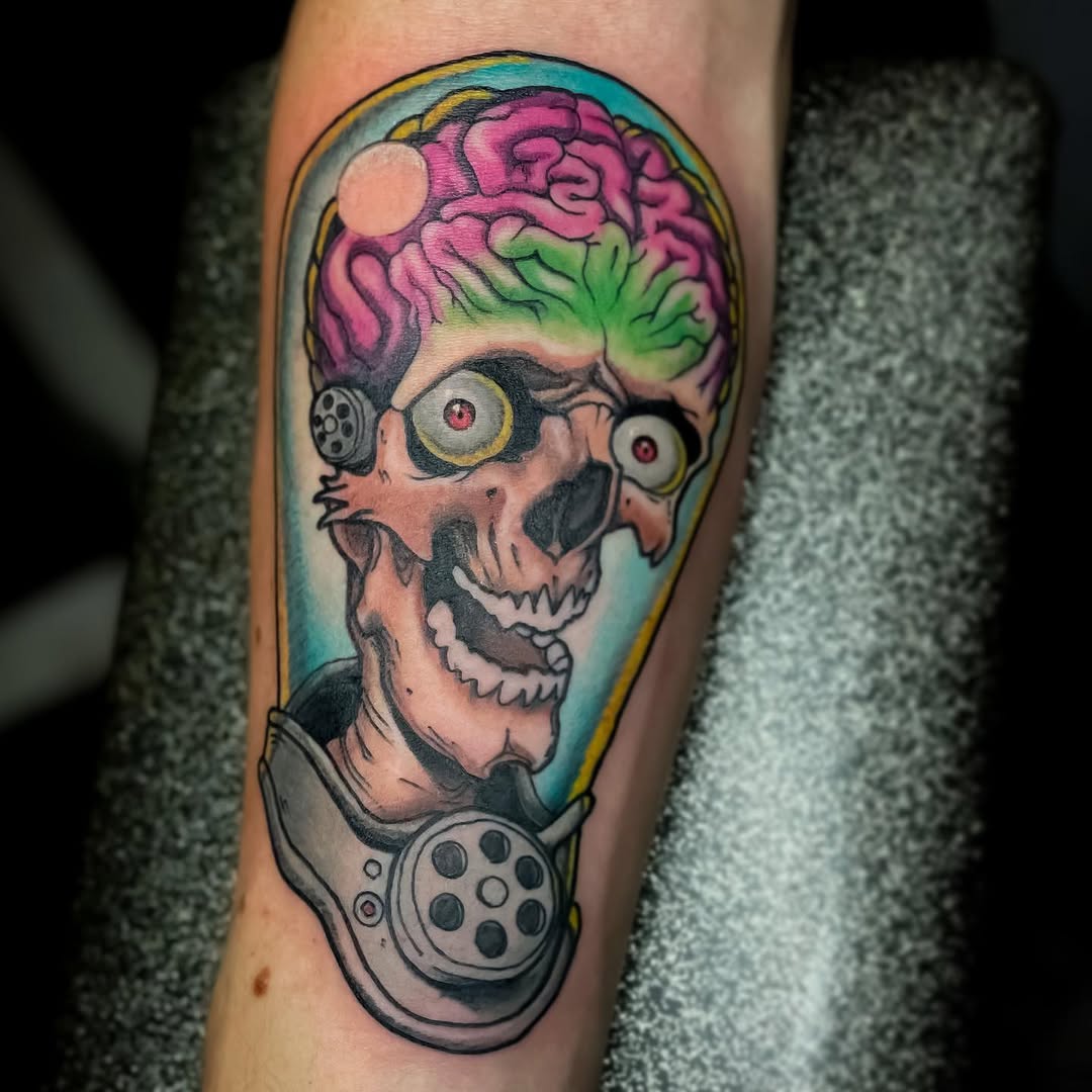 뇌, Skull