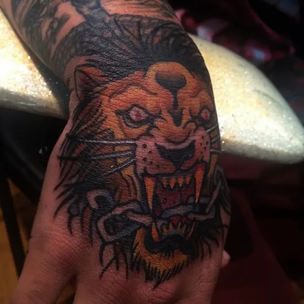 Tiger, Animal, 한국 호랑이