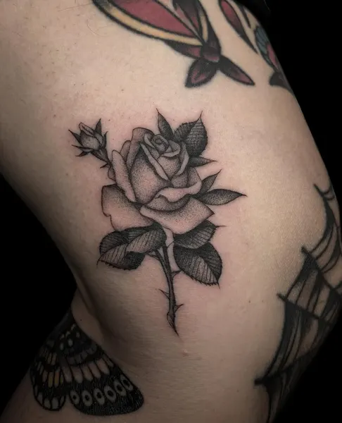 Flower, Rose