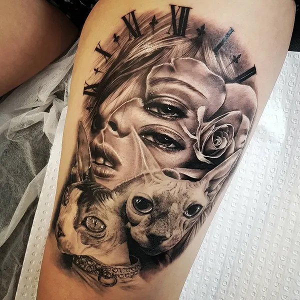 Animal