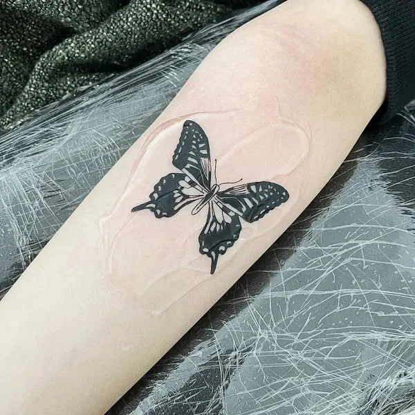 Animal, Nature, 나방