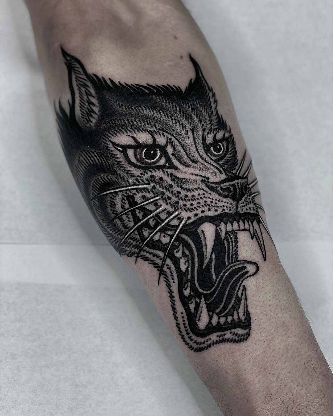 Tiger, Animal