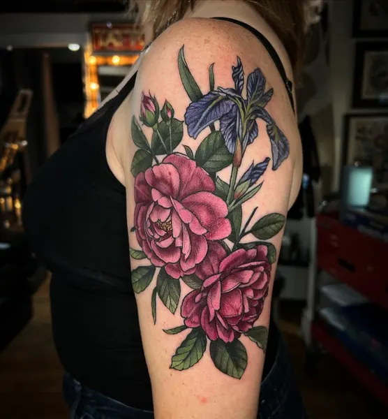 Flower, Rose, Nature