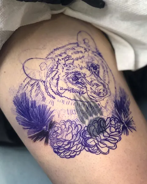 Animal, 곰, 멧돼지