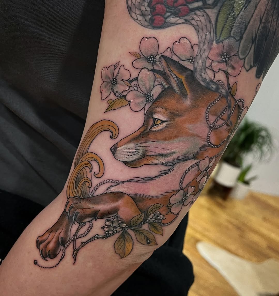 Animal, 여우
