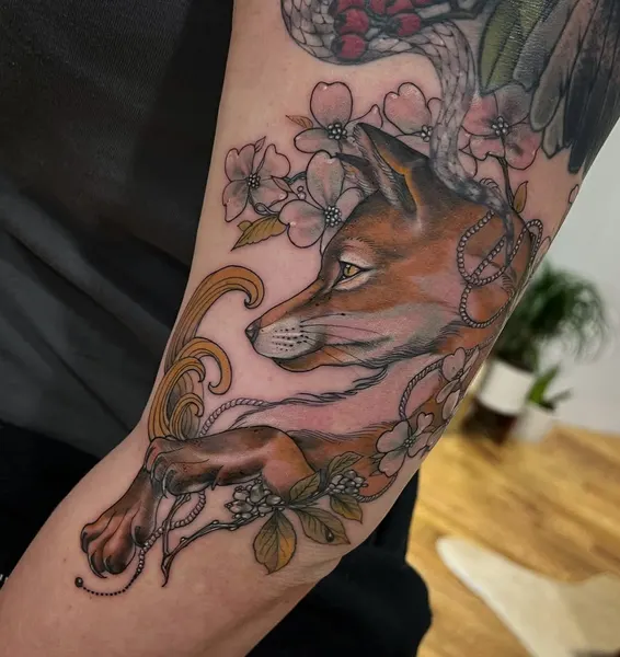 Animal, 여우
