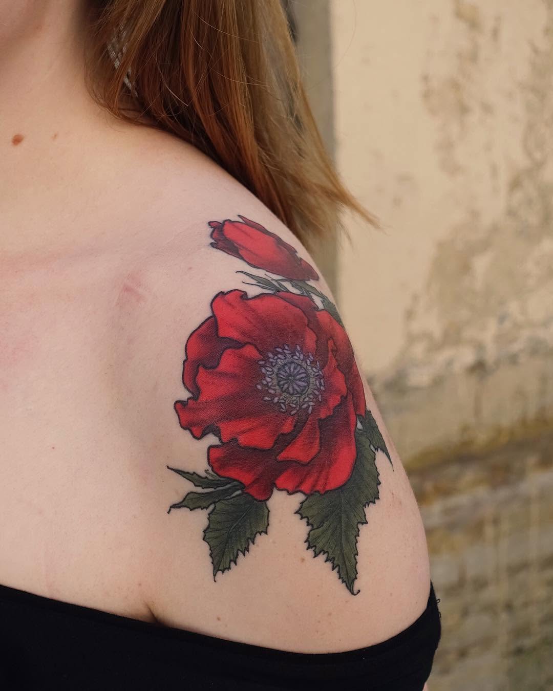 Flower, Rose, Nature