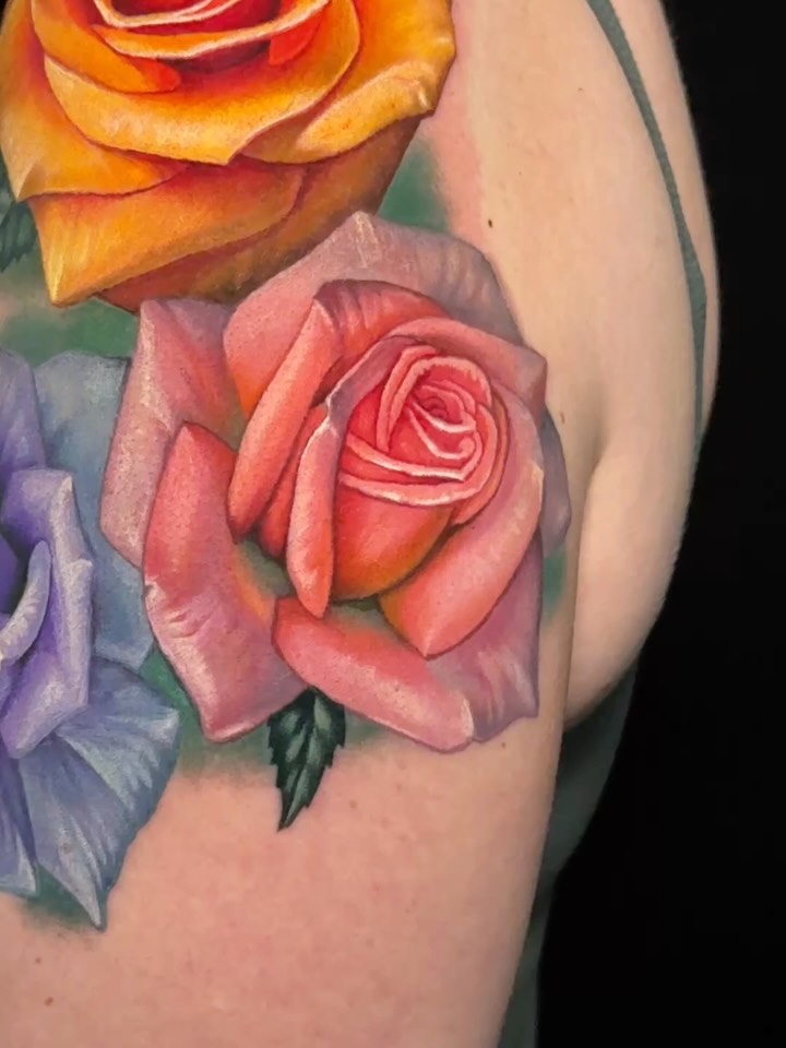 Flower, Rose, Nature