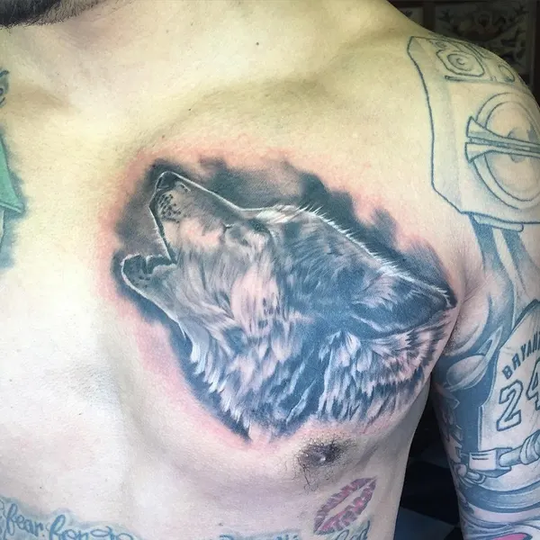 Animal